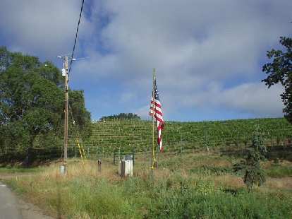 [Mile 9, 8:25 a.m.] On Sunday, Bob, Diane, Sharon and I did the century option.  Lots of flags were out among the vineyards for Memorial Day.