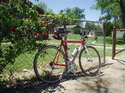[Mile 56, 1:30 p.m.] My Cannondale and some roses at a park in Shandon.