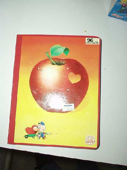 For my Spanish classes, I picked up one of those new Apple Notebooks.  Just $0.35, I think.