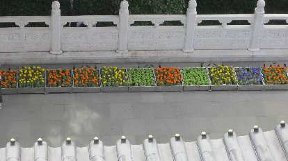 Flowers in planters as seen from Leifeng Tower.