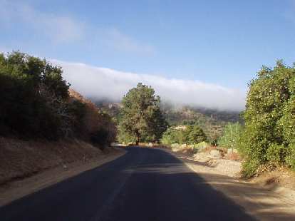 Mile ~32, 8:33 a.m.: Look at those puffy clouds engulfing the mountains ahead! And the pavement... this ride would be blessed with lots of smooth roads. Mile ~32, 8:33 a.m.: Look at those puffy clouds engulfing the mountains ahead! And the pavement... this ride would be blessed with lots of smooth roads.