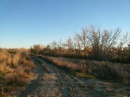 Trail by Richards Lake.