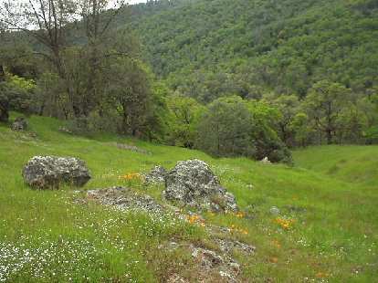 We picnicked at this site with lots of wildflowers. We picnicked at this site with lots of wildflowers.