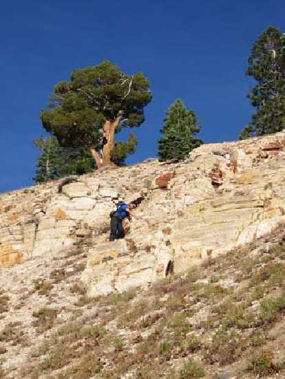 ~4:40 p.m.: See what I mean by "steeper and looser!" Felix Wong doing some Class 3 downclimbing... terrain is getting pretty ridiculous. Photo: Adam Paul. ~4:40 p.m.: See what I mean by "steeper and looser!" Felix Wong doing some Class 3 downclimbing... terrain is getting pretty ridiculous.