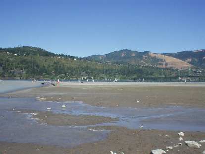 Hood River: the windsurf capital of the world. Ok, this is a crappy picture, but on this Saturday August afternoon there were several dozen windsurfers out along with sunbathers along the beach. Hood River: the windsurf capital of the world. Ok, this is a crappy picture, but on this Saturday August afternoon there were several dozen windsurfers out along with sunbathers along the beach.