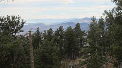 green pine in Horsetooth Mountain Park with mountains to the west