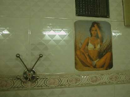Back in Saigon, I was (somewhat pleasantly) surprised to see this in my bathroom!