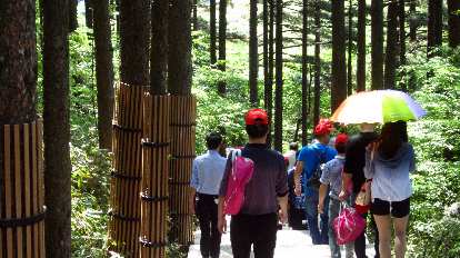 Hiking into the Huangshan Mountains behind another tour group.