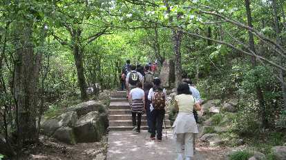 Following tour group participants into the Huangshan Mountains.