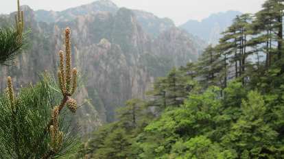 The Huangshan Mountains. The Huangshan Mountains.