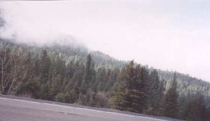 The Great Smokies of Tennessee?  No, this is Humboldt County from US-101!