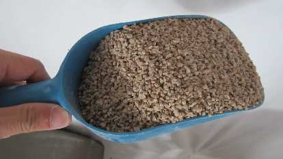 wheat litter for cats