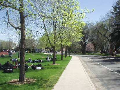 It was a gorgeous Saturday morning in Fort Collins with the trees blooming in April.  A great day for a track meet.