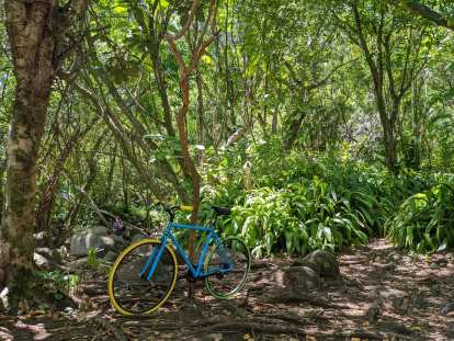 A sky blue hybrid bicycle with a yellow front tire and green rear tire in Haena.