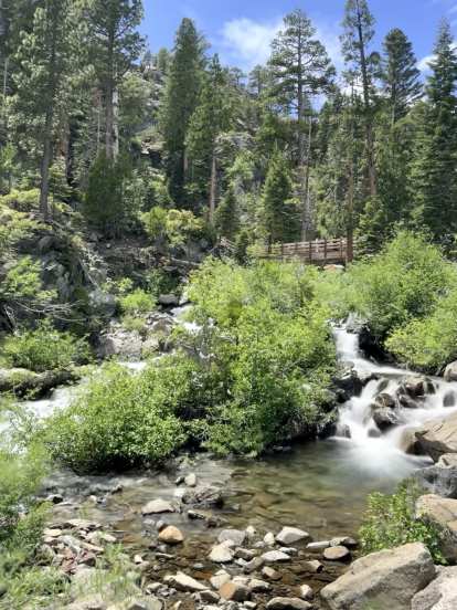 A stream and bridge near Eagle Falls.