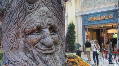 An "alive" tree at the Bellagio Conservatory & Botanical Gardens (18 Nov 2013) An "alive" tree at the Bellagio Conservatory & Botanical Gardens