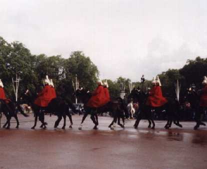 Marching band horses. (25 Sep 1999) Marching band horses.