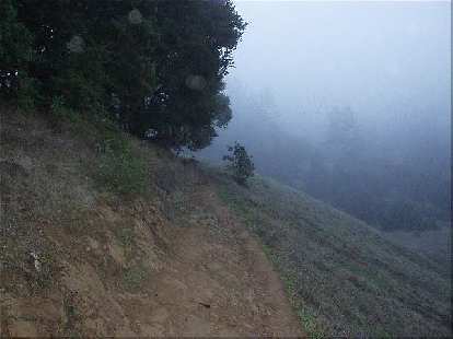 Going up the trail as the fog lingered ahead.