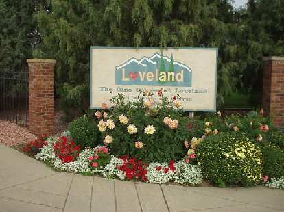 Lovely flowers in Loveland.