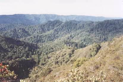 The view from the Saratoga Gap Trail in Castle Rock State Park, CA, in search of a climbing area dubbed M&M's.