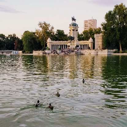 Ducks in Estanque Grande (Big Pond) at Parque Retiro in Madrid.
