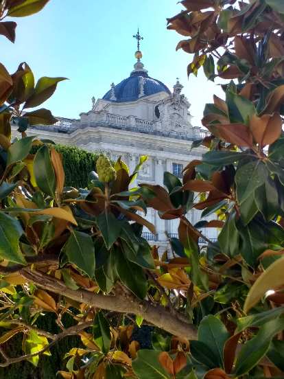 View of the blue dome on the top of the north side of the Royal Palace of Madrid.