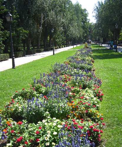 More flowers in el Parque del Retiro. More flowers in el Parque del Retiro.