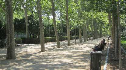 Two men having a conversation in el Parque del Retiro. Two men having a conversation in el Parque del Retiro.