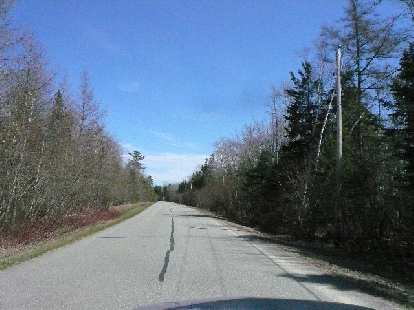 I loved all the trees in Maine. This is the road going to the Owls Head Transportation Museum.