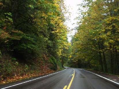 Hooray for more fall colors! This stretch of Highway 126 in Oregon was super beautiful, reminding me a little bit of the stretch of US-550 from Ouray to Silverton in Colorado. Hooray for more fall colors! This stretch of Highway 126 in Oregon was super beautiful, reminding me a little bit of the stretch of US-550 from Ouray to Silverton in Colorado.