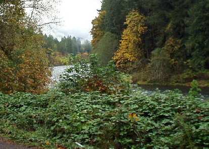The McKenzie Highway runs by the McKenzie river, from Eugene to Sisters. The McKenzie Highway runs by the McKenzie river, from Eugene to Sisters.
