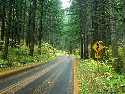 The road narrowed along Highway 242 and became a lot more twisty. The road narrowed along Highway 242 and became a lot more twisty.