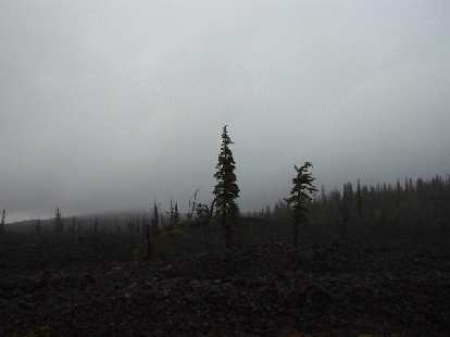 At the top of McKenzie pass the land gave way to lots of lava rocks. Unfortunately, due to the rain and fog, I was not able to see the Three Sisters (mountain peaks) from here. At the top of McKenzie pass the land gave way to lots of lava rocks. Unfortunately, due to the rain and fog, I was not able to see the Three Sisters (mountain peaks) from here.