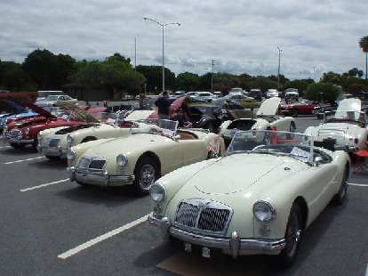 A whole row of cream-colored MGAs. A whole row of cream-colored MGAs.