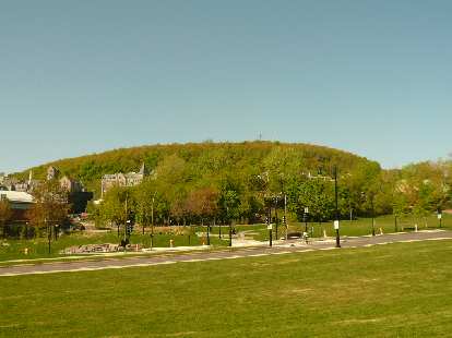 The view of Mont-Royal from Le Plateau. (17 May 2008) The view of Mont-Royal from Le Plateau.