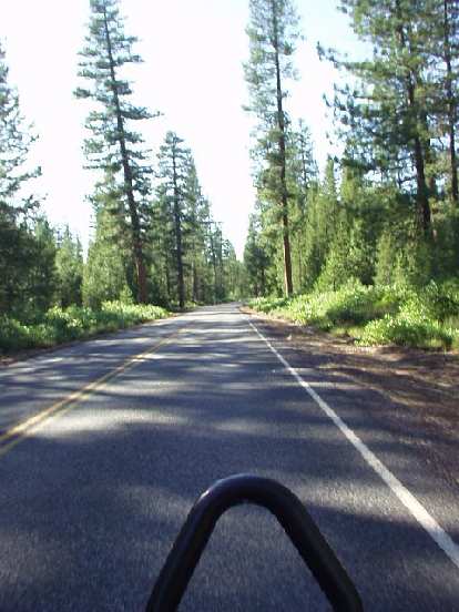 Photo: From Highway 40 to Highway 46 was Highway 45.  This provided 10 continuous miles of moderate climbing, with lots of trees and, again, no traffic.