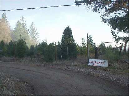 The entrance of the Christmas tree farm. When I explained to the tree seller that, no, I was not here to buy a tree but was a CA County Summit seeker, he joked, "We are a TREE farm, not a tourist company!" The entrance of the Christmas tree farm. When I explained to the tree seller that, no, I was not here to buy a tree but was a CA County Summit seeker, he joked, "We are a TREE farm, not a tourist company!"