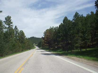 Man, what a great drive to Deadwood from Mt. Rushmore! I think this is Highway 385. Man, what a great drive to Deadwood from Mt. Rushmore! I think this is Highway 385.