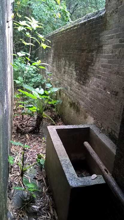 A water trough.  My dad would bathe outside this trough using the water in it.