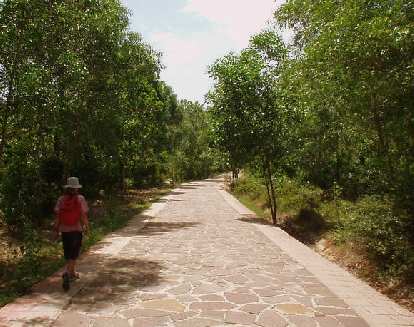 Walking 1.5 kilometers to the ruins at My Son.