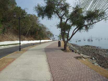 The road to the Marino de Flamenco.