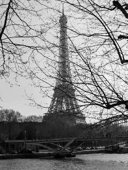 Photo: The Eiffel Tower behind some trees.