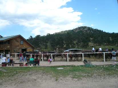 [Mile 85, 12:08 p.m.] Horses at the Sombrero Ranches in Estes Park.