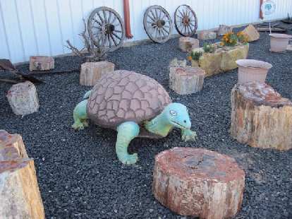 A giant turtle among petrified wood. A giant turtle among petrified wood.