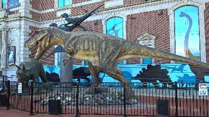 Triceratops and Tyrannosaurus rex dinosaurs outside the Academy of Natural Sciences. Triceratops and Tyrannosaurus rex dinosaurs outside the Academy of Natural Sciences.