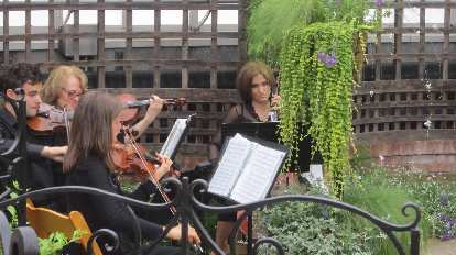 The orchestra at Kristina and Juergen's wedding inside the Phipps Conservatory. (19 Jul 2014) The orchestra at Kristina and Juergen's wedding inside the Phipps Conservatory.