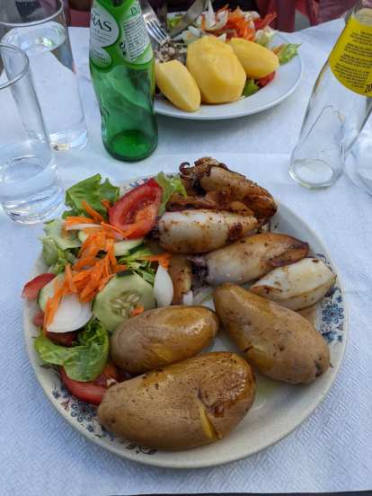 I had this plate of salad, potatoes, and grilled squid at Bufete S. Domingos. It wasn't bad, but the service and wait time (1 hour) was.