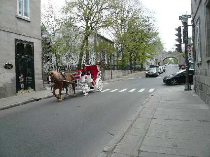 Charming horse and carriage. brown horse pulling white and red carriage down street in Quebec City