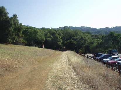 The race was primarily through the Almaden-Quicksilver Park through San Jos̩, most of it on trails such as this.