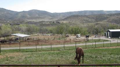 Photo: Horse in Masonville, Colorado.